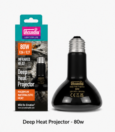 Arcadia Deep Heat Projector 80-watt product and packaging