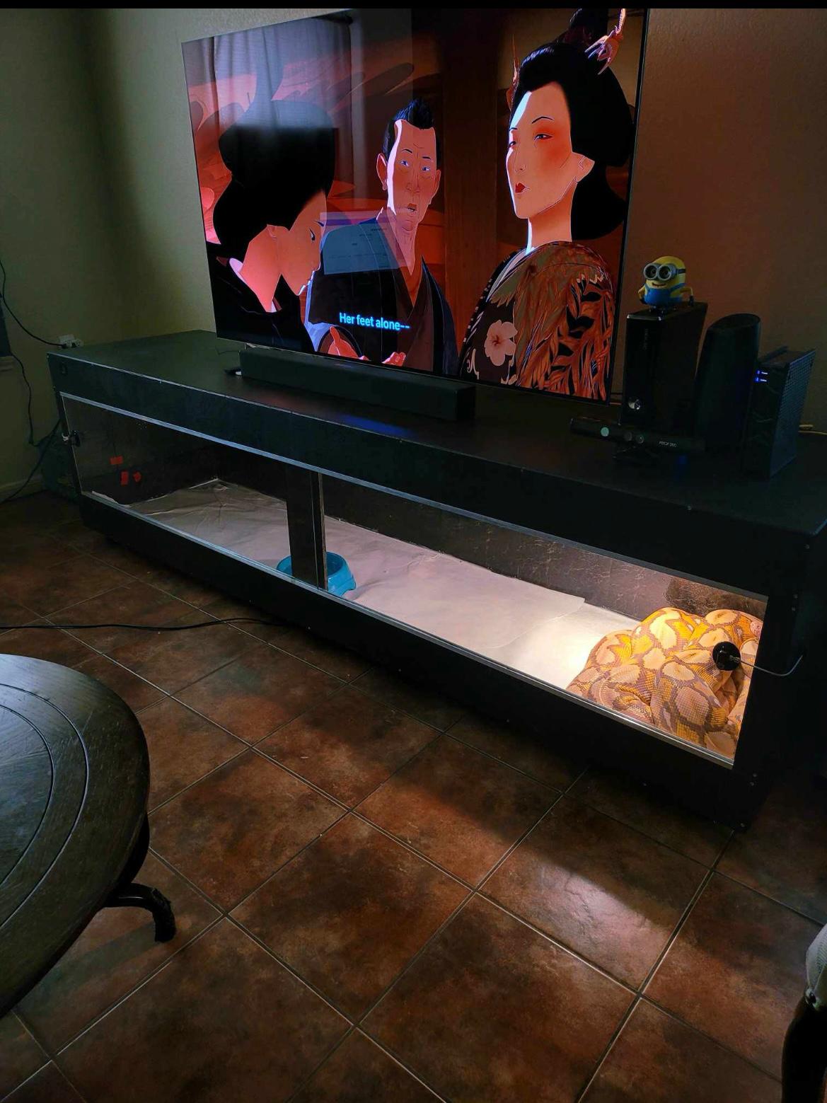 Original ARTerrariums black enclosure with ball python in living room setup
